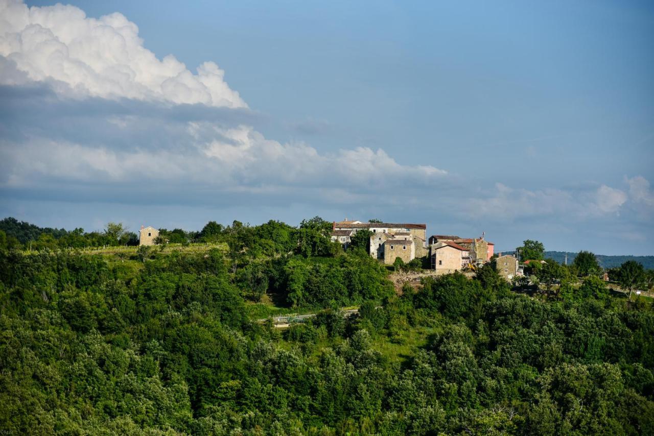 L'Abbraccio Della Quercia Apartamento Momjan Exterior foto
