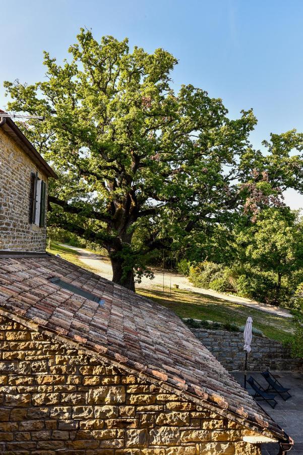 L'Abbraccio Della Quercia Apartamento Momjan Exterior foto
